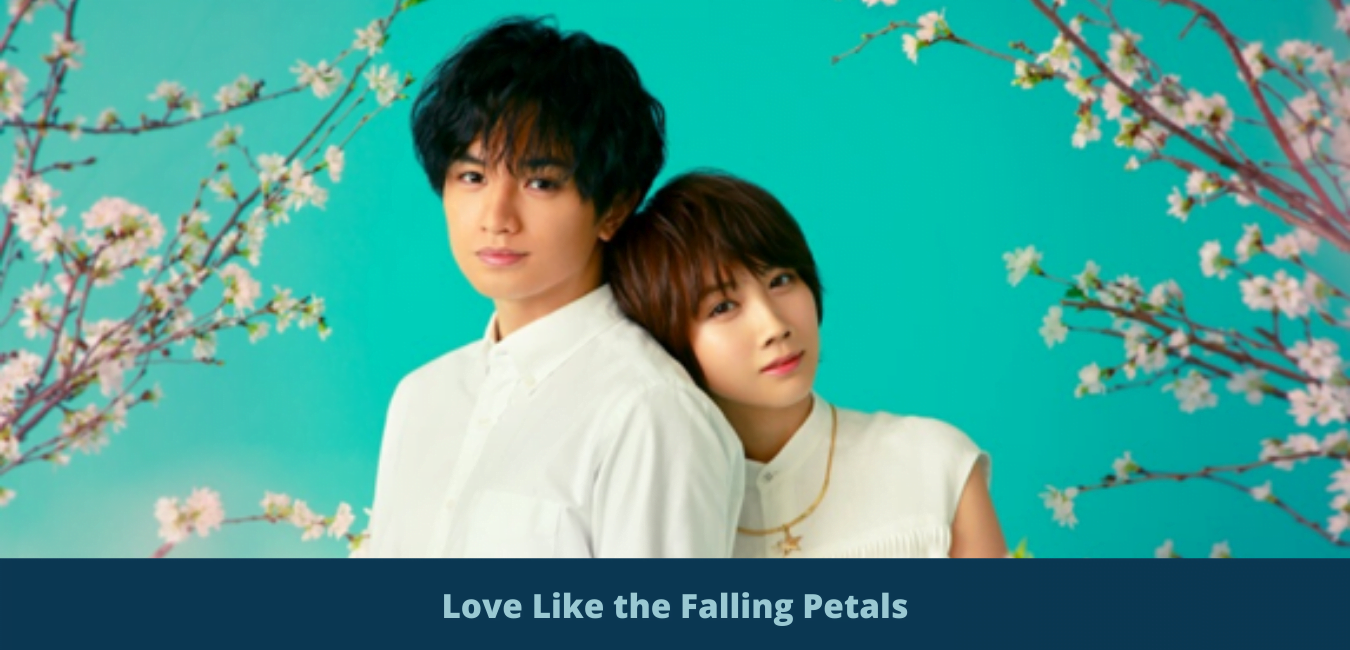 Love Like the Falling Petals (1)
